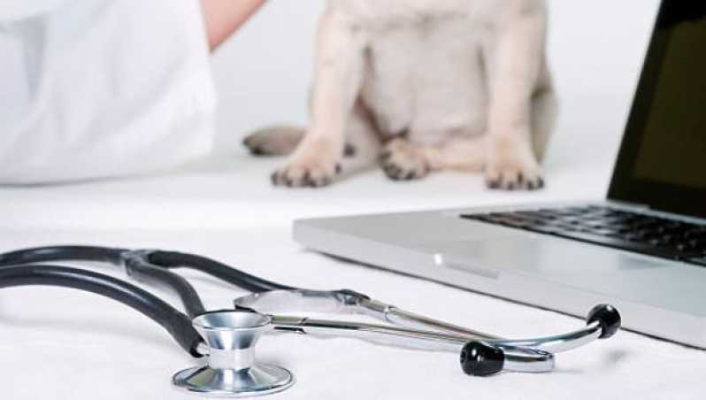Cirurgia em Pequenos Animais Clínicas Tietê - Cirurgia para Cachorros de Pequeno Porte