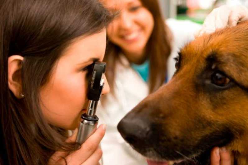 Clínica Especializada em Oftalmologista para Cães Macuco - Oftalmologista Veterinario 24 Horas