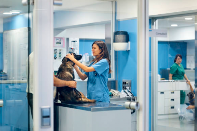 Hospital Veterinario Cães e Gatos Jardim Paiquere - Hospital Veterinario Mais Próximo