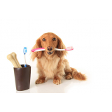 clínica de limpeza dos dentes cachorro Vale Verde