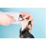 clínica especializada em odontologia para cachorro Chácara Silvania