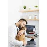 clínica especializada em ortopedia para cães de grande porte Holambra