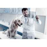 clínica especializada em ortopedista para cachorro Vale Verde
