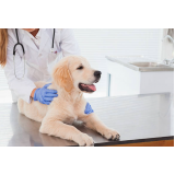 endereço de clínica veterinária para cães Distrito Industrial Benedito Storani