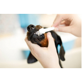 limpeza de dente em cachorro marcar Jardim Paiquere