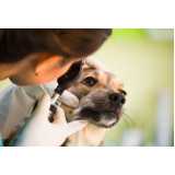 oftalmologista veterinario 24 horas agendar Americana
