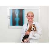 ortopedia e cirurgia veterinária Mogi Mirim