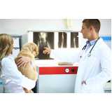 ortopedia para cachorro de grande porte agendar Sitio Recreio dos Cafezais