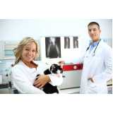 ortopedista para cachorro agendar Itatiba
