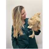 veterinária de animais exóticos Centro