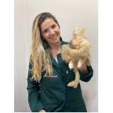 veterinario 24 horas animais silvestres Vila Independencia