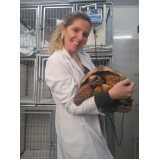 veterinario de animais silvestres marcar Chácara Silvania